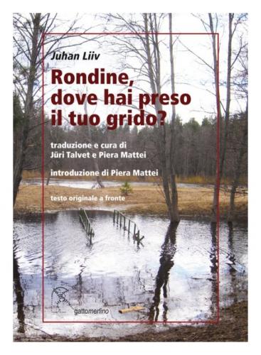 Rondine, dove hai preso it tuo grido?