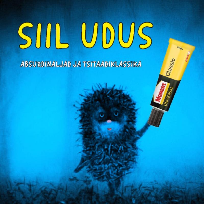 Siil udus