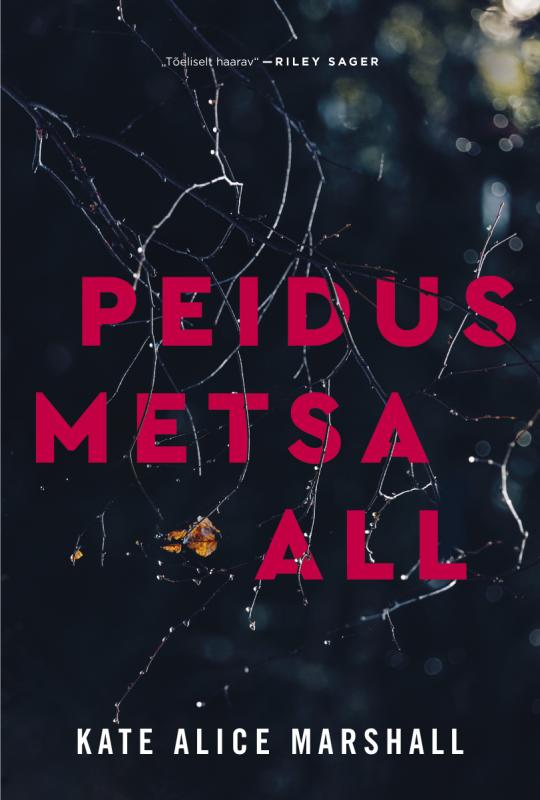 Peidus metsa all