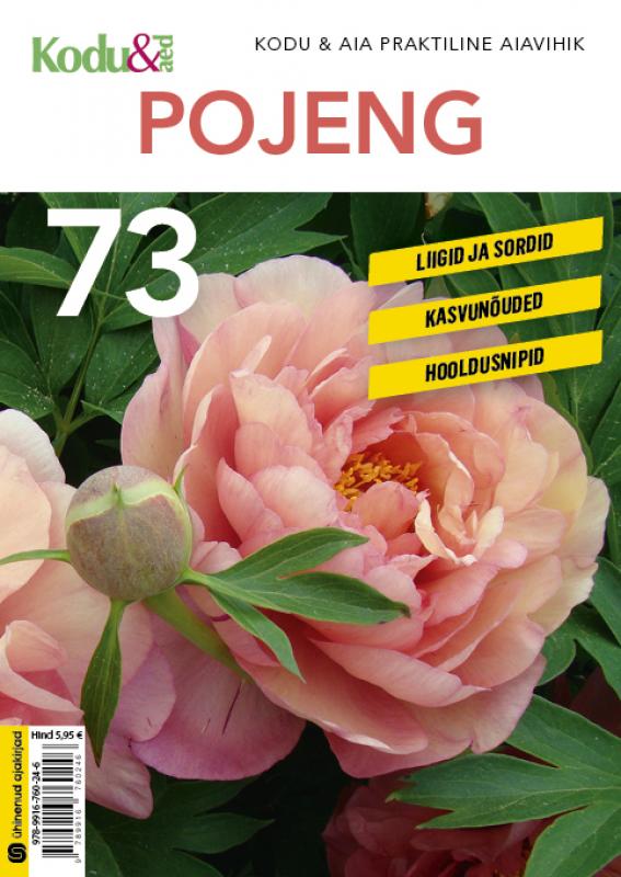 Pojeng: liigid ja sordid. Kasvunõuded. Hooldusnipid