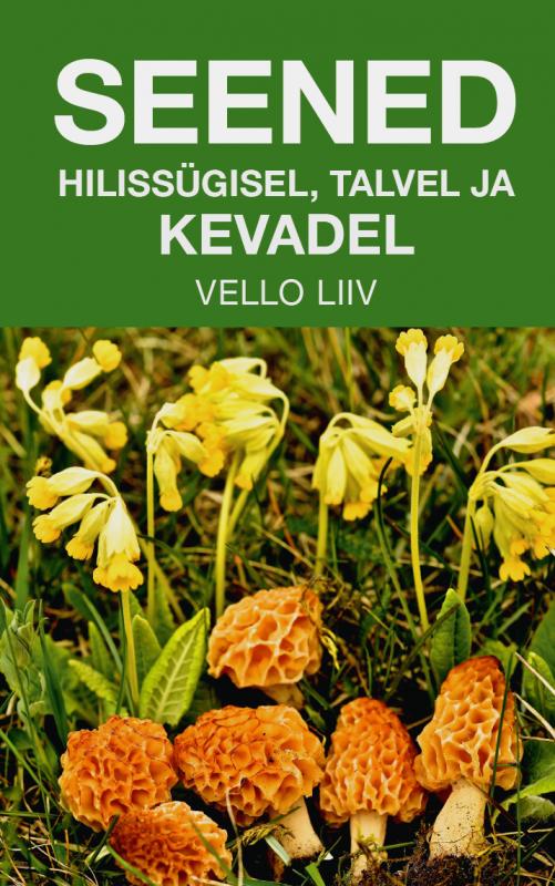 SEENED HILISSÜGISEL, TALVEL JA KEVADEL