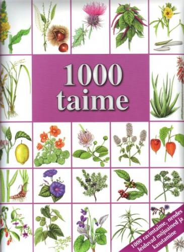 1000 taime