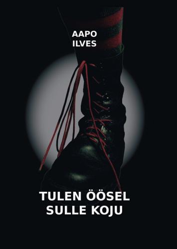 Tulen öösel sulle koju: valik tekste 1996-2009