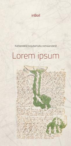 Katkendeid kirjutamata romaanidest: lorem ipsum