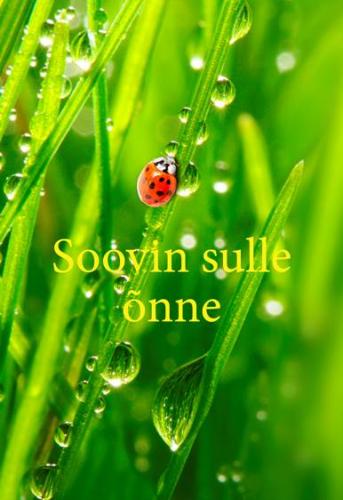 Soovin sulle õnne