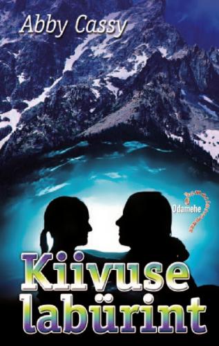 Kiivuse labürint