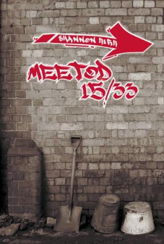 Meetod 1533: romaan /
