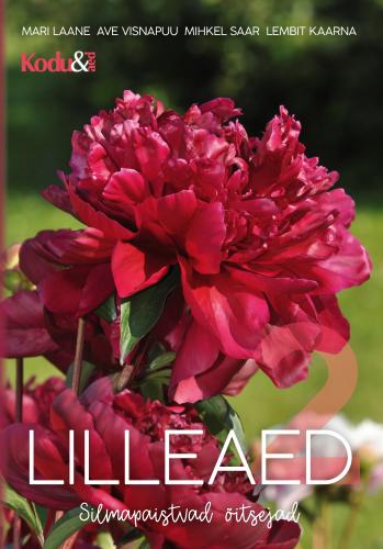 Lilleaed.