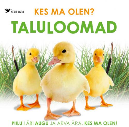 Kes ma olen?: kiisud ja kutsud : [ piilu läbi augu ja arva ära, kes ma olen!]