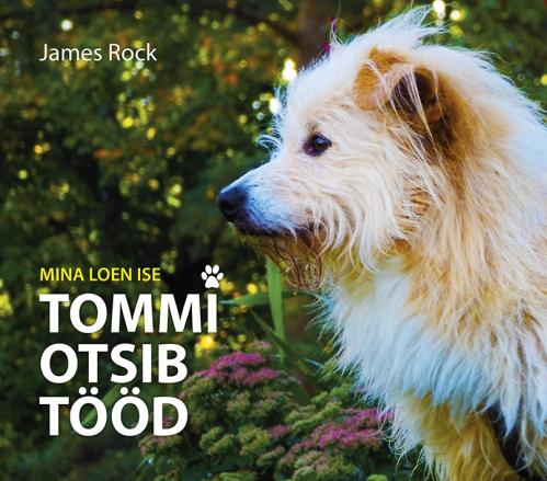 Tommi otsib tööd