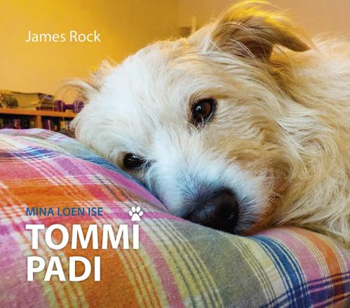 Tommi padi