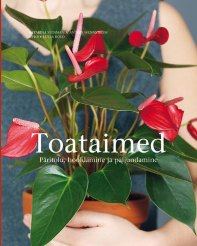 Toataimed: päritolu, hooldamine ja paljundamine