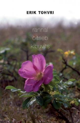 Rannal õitseb kibuvits
