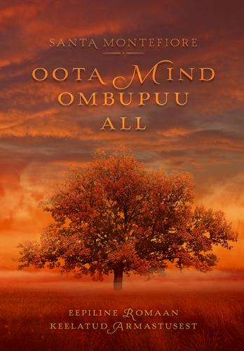 Oota mind ombupuu all: eepiline romaan keelatud armastusest