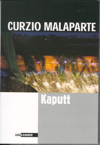 Kaputt: [ romaan]