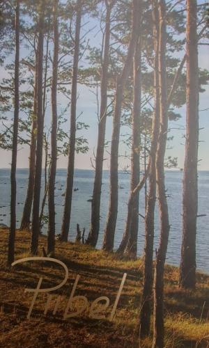 Piibel: Vana Testament ; Uus Testament