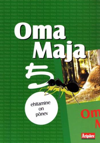 Ehitamine on põnev