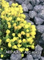 Aed ajas - aeg aias. Aiakalender