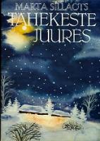 Tähekeste juures: [ jõulumuinasjutt]