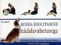 Koera koolitamine nädalavahetusega: lihtsaid võtteid koera õpetamiseks
