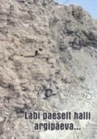 Läbi paeselt halli argipäeva... Pajusi valla lood