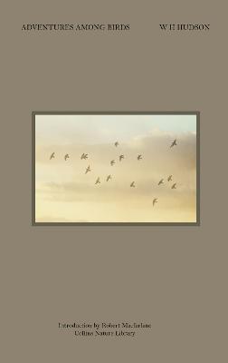 Adventures Among Birds