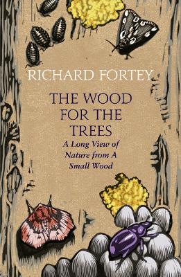 Wood for the Trees: The Long View of Nature from a Small Wood