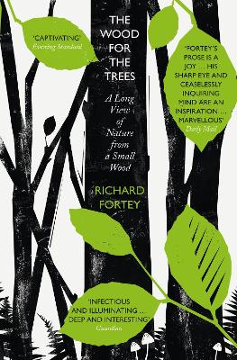 Wood for the Trees: The Long View of Nature from a Small Wood