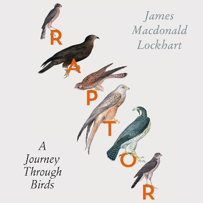 Raptor: A Journey Through Birds