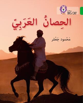 Arabian Horse: Level 5