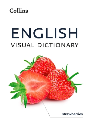 English Visual Dictionary: A photo guide to everyday words and phrases in English