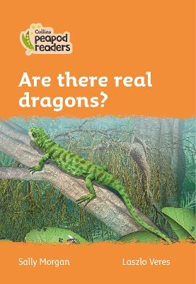 Are there real dragons?: Level 4 British edition