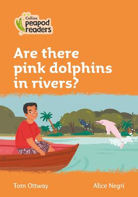 Are there pink dolphins in rivers?: Level 4 British edition