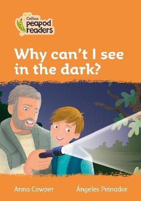 Why can't I see in the dark?: Level 4 British edition