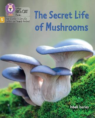 Secret Life of Mushrooms: Phase 5 Set 4 Stretch and Challenge