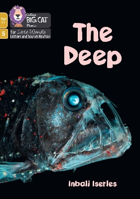 Deep: Phase 5 Set 4