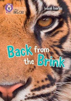 Back from the Brink: Band 12/Copper