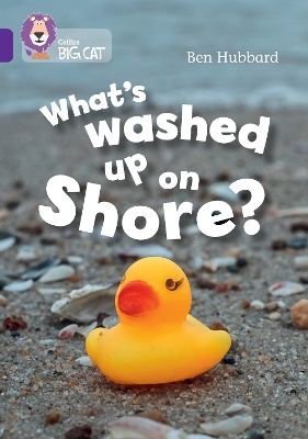 What's washed up on shore?: Band 08/Purple