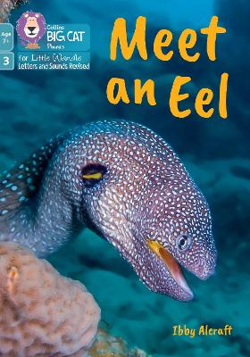 Meet an Eel: Phase 3 Set 1 Blending Practice