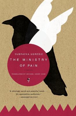 Ministry of Pain: A Novel