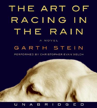 Art of Racing in the Rain