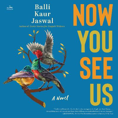 Now You See Us: A Novel
