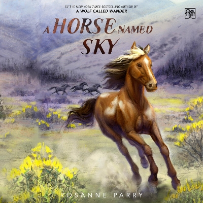 Horse Named Sky