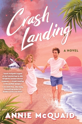Crash Landing: A Novel