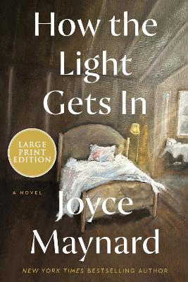 How The Light Gets In: A Novel LP Large type / large print edition