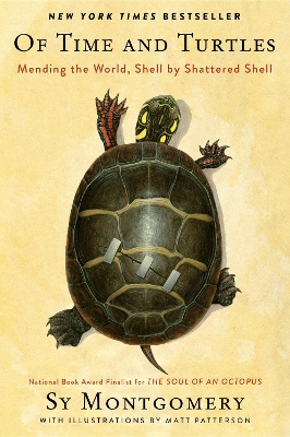 Of Time And Turtles: Mending The World, Shell By Shattered Shell