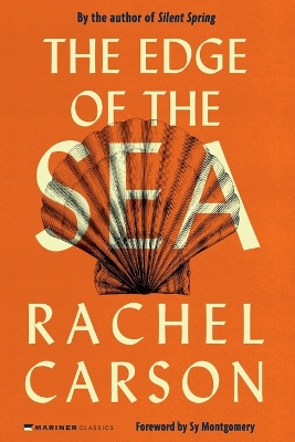 Edge of the Sea