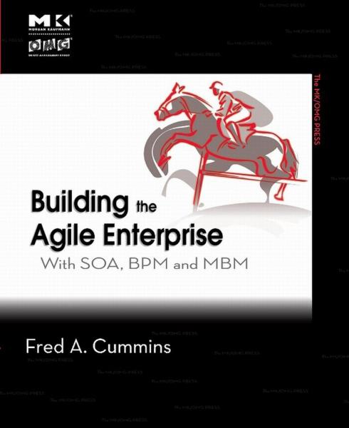 Building the Agile Enterprise: With SOA, BPM and MBM