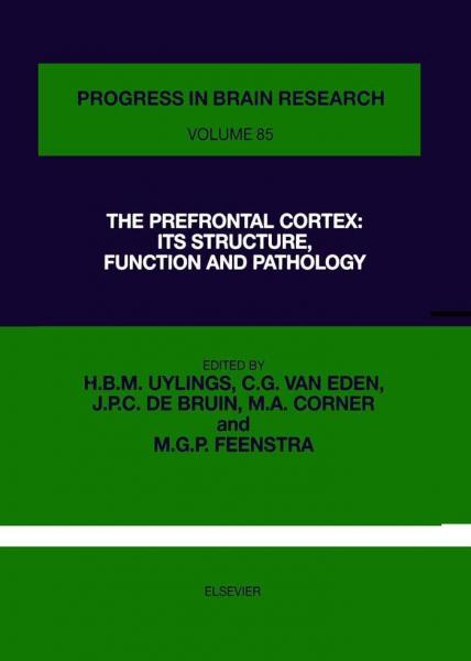 Prefrontal Cortex: Its Structure, Function and Pathology