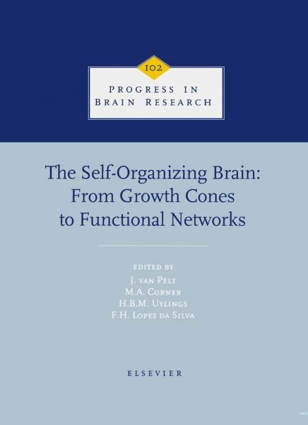 Self-Organizing Brain: From Growth Cones to Functional Networks